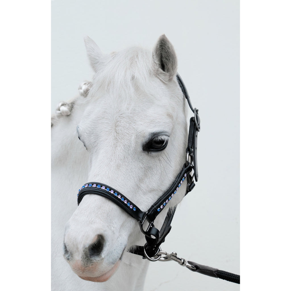 Licol Riverstone Cuir noir Pierres Bleu et Rose