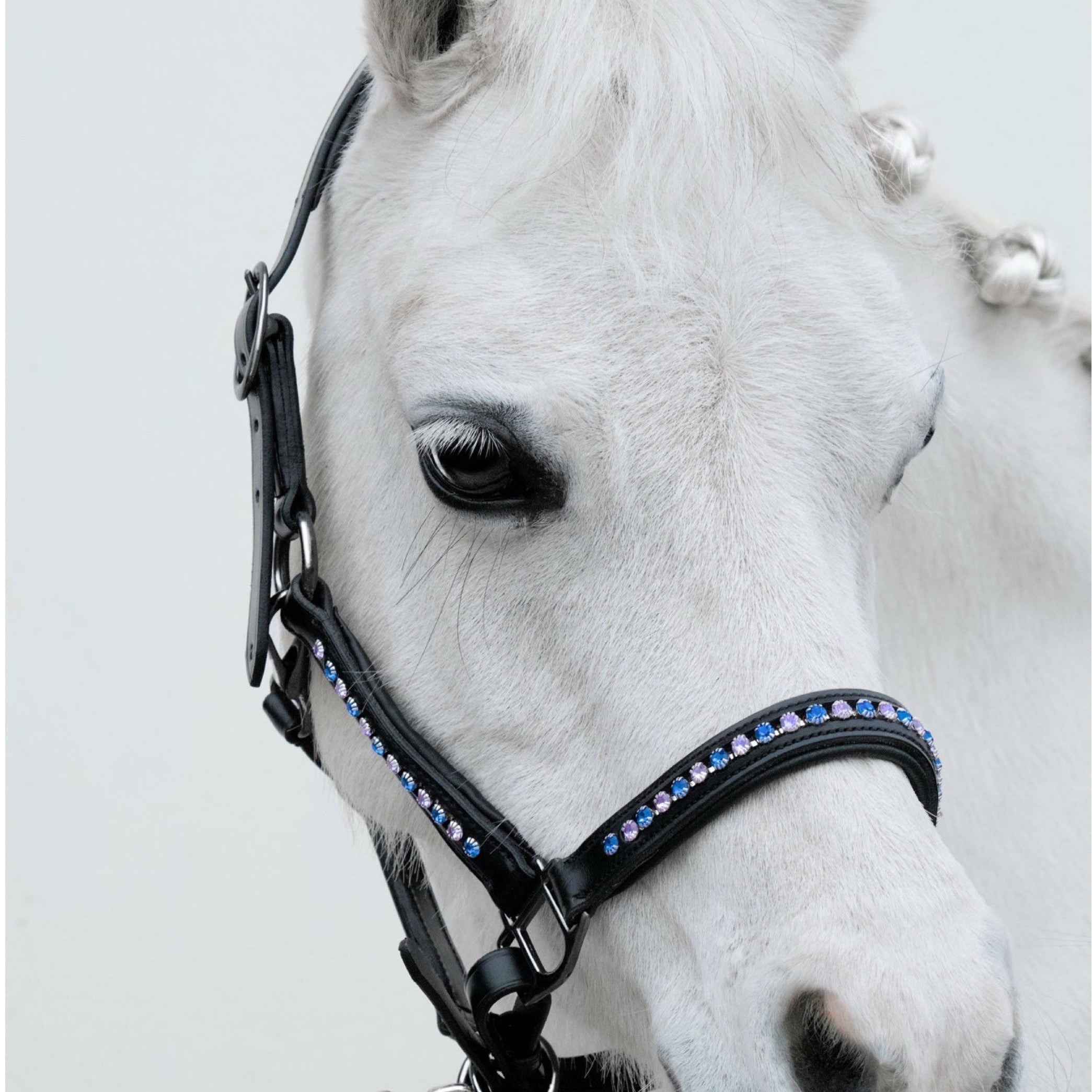 Licol Riverstone Sapphire – Cuir Noir & Pierres Bleu & Rose | HIT PONY