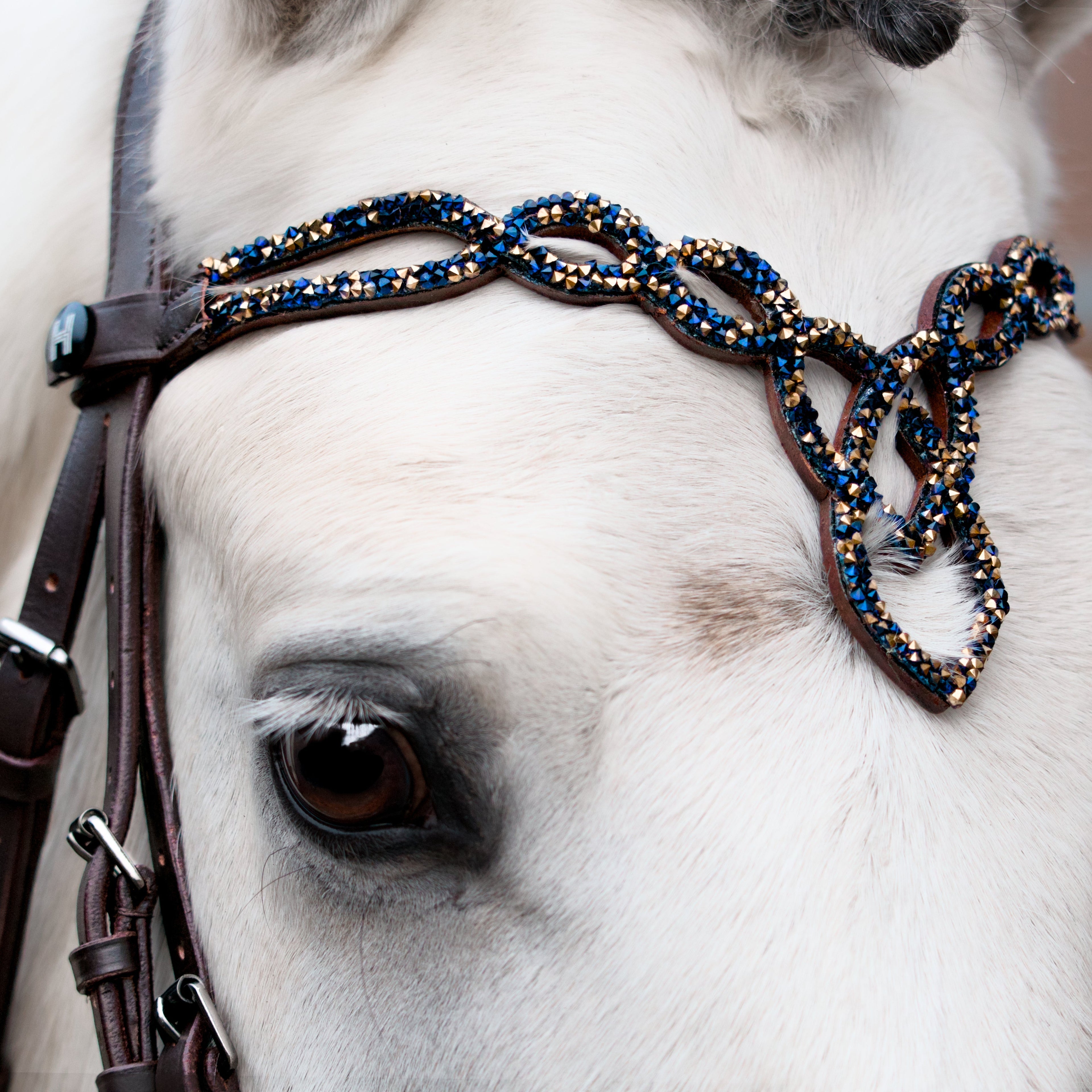 Frontal Shiloh Sapphire and Gold – Cuir Marron & Cristaux | HIT PONY