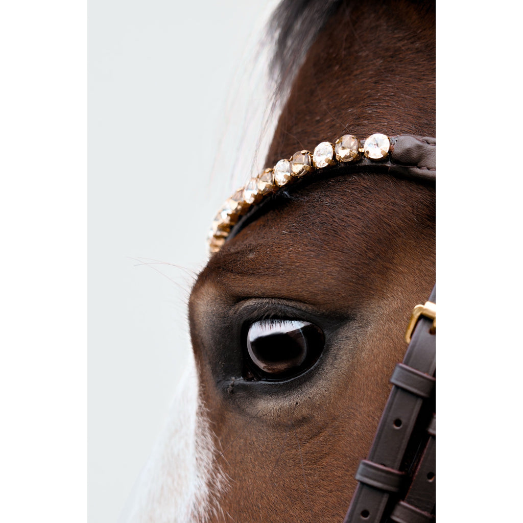 Frontal Gold and White Eagle