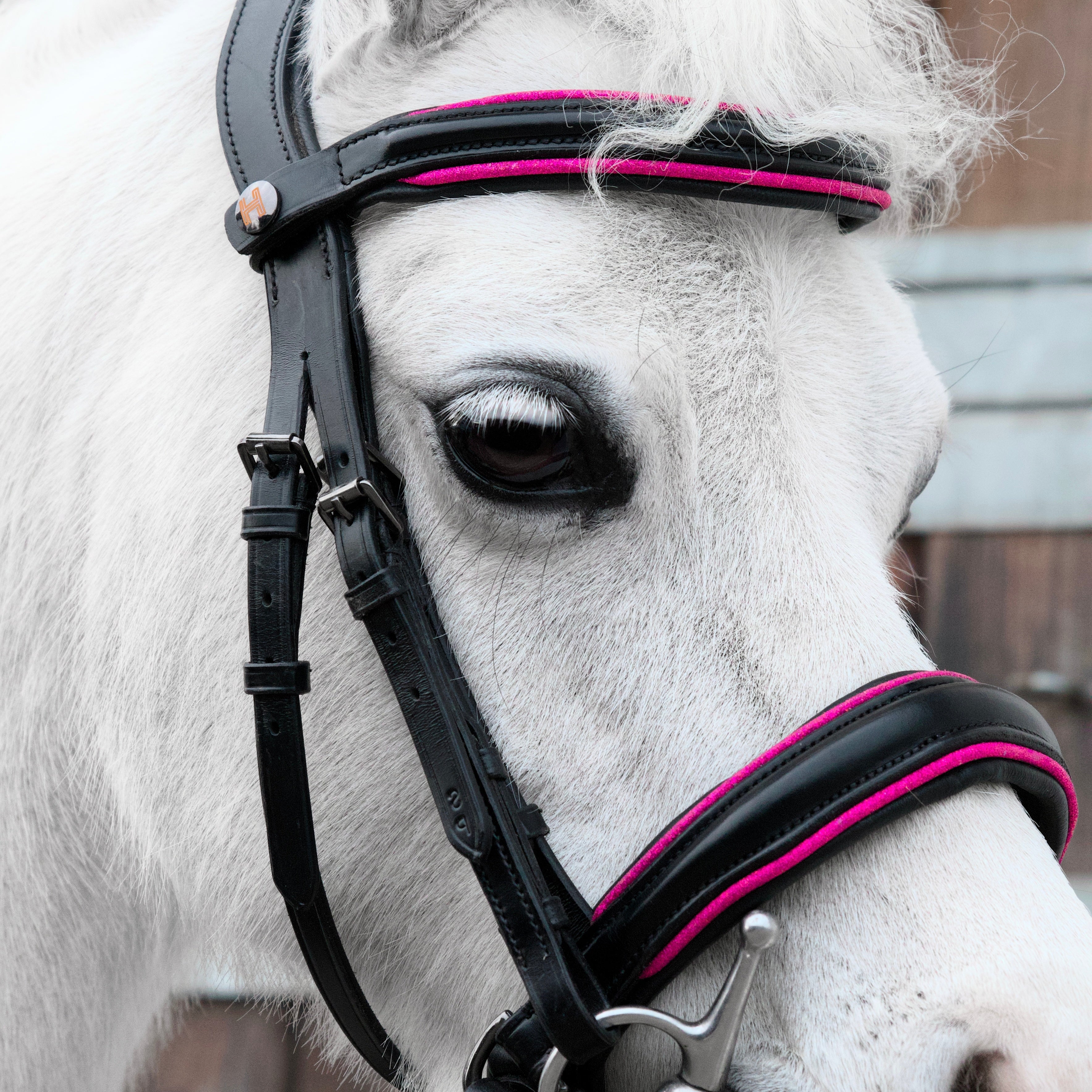 Trense Raven Hot Pink – Schwarzes Leder | HIT PONY