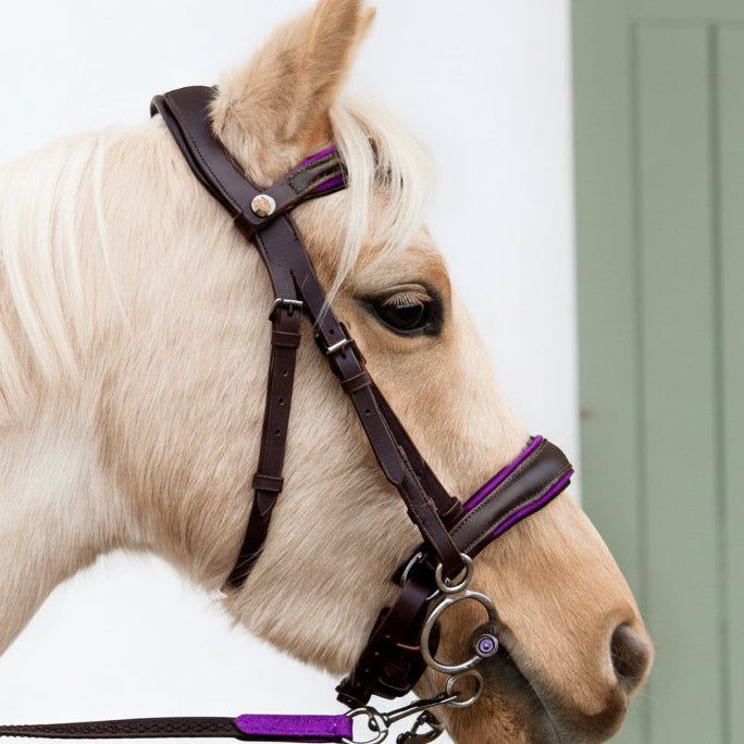 Trense Raven Violett – Braunes Leder | HIT PONY