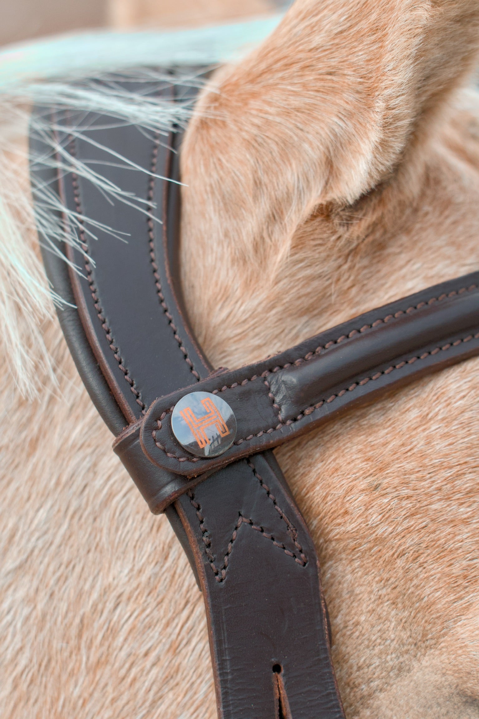 Frontal Shiloh Light Pink