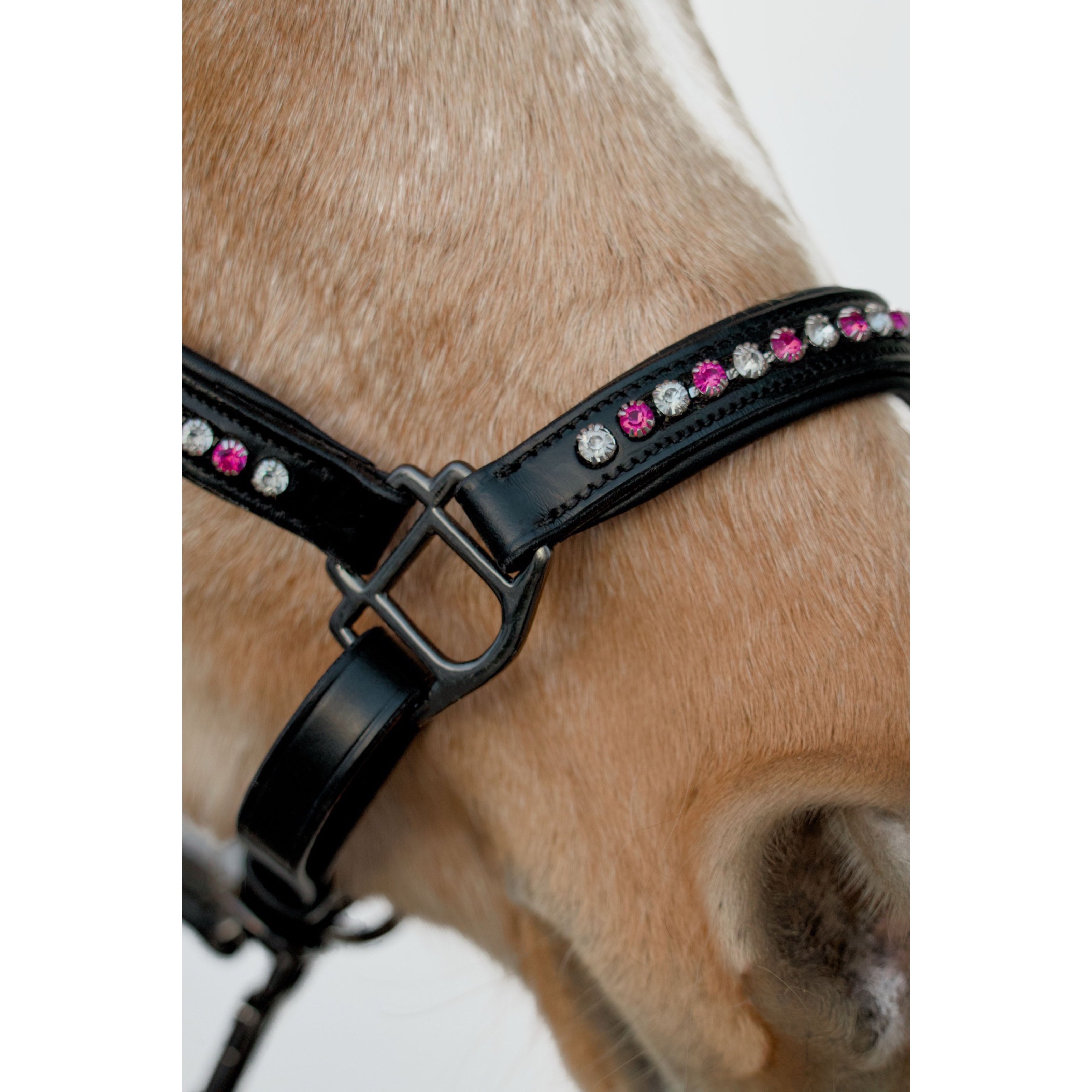 Licol Riverstone Cuir Noir Pierre Rose et Blanche + longe incluse