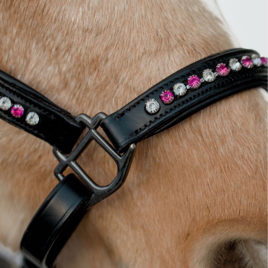Rose Quartz Riverstone Halter – Black Leather & Pink & White Stones | HIT PONY
