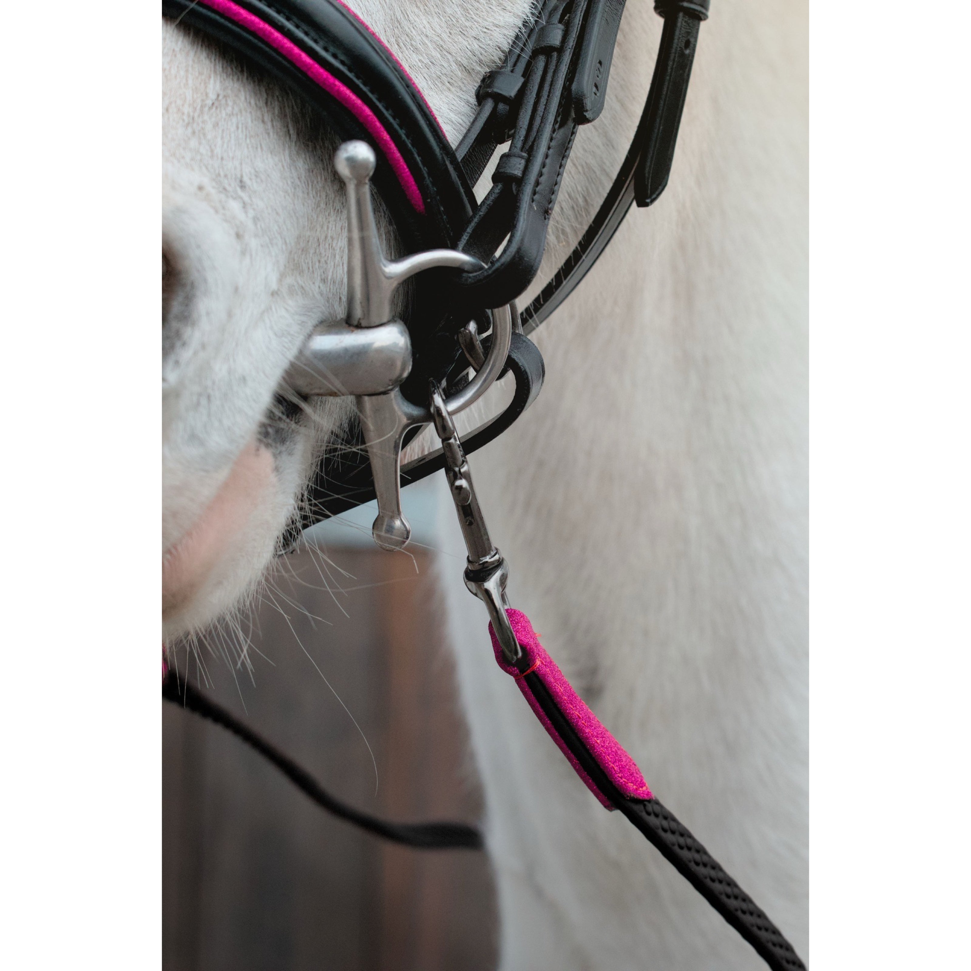 Rênes Hook Hot Pink Glitter