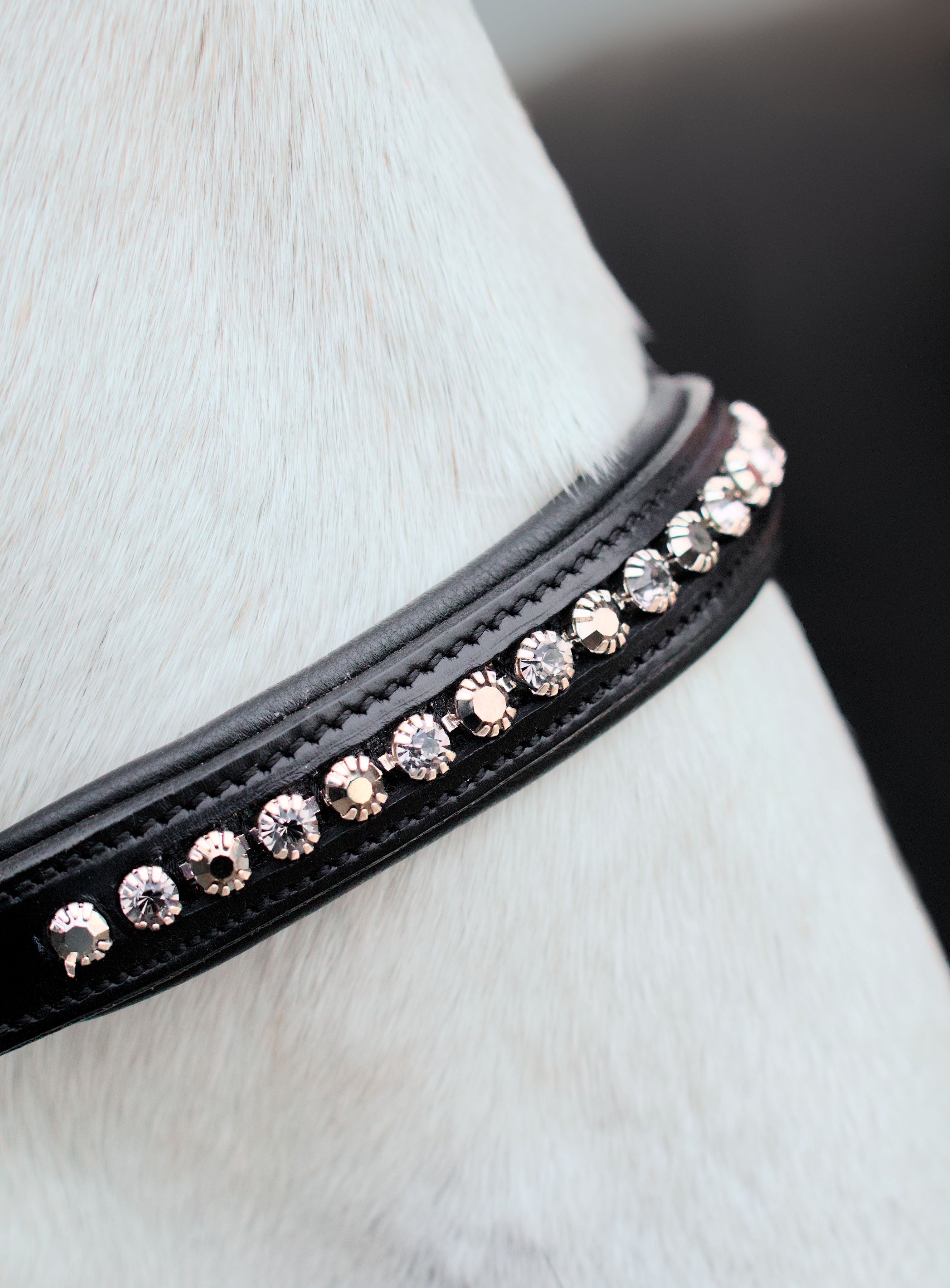 Licol Riverstone Black Diamond – Cuir Noir & Strass | HIT PONY