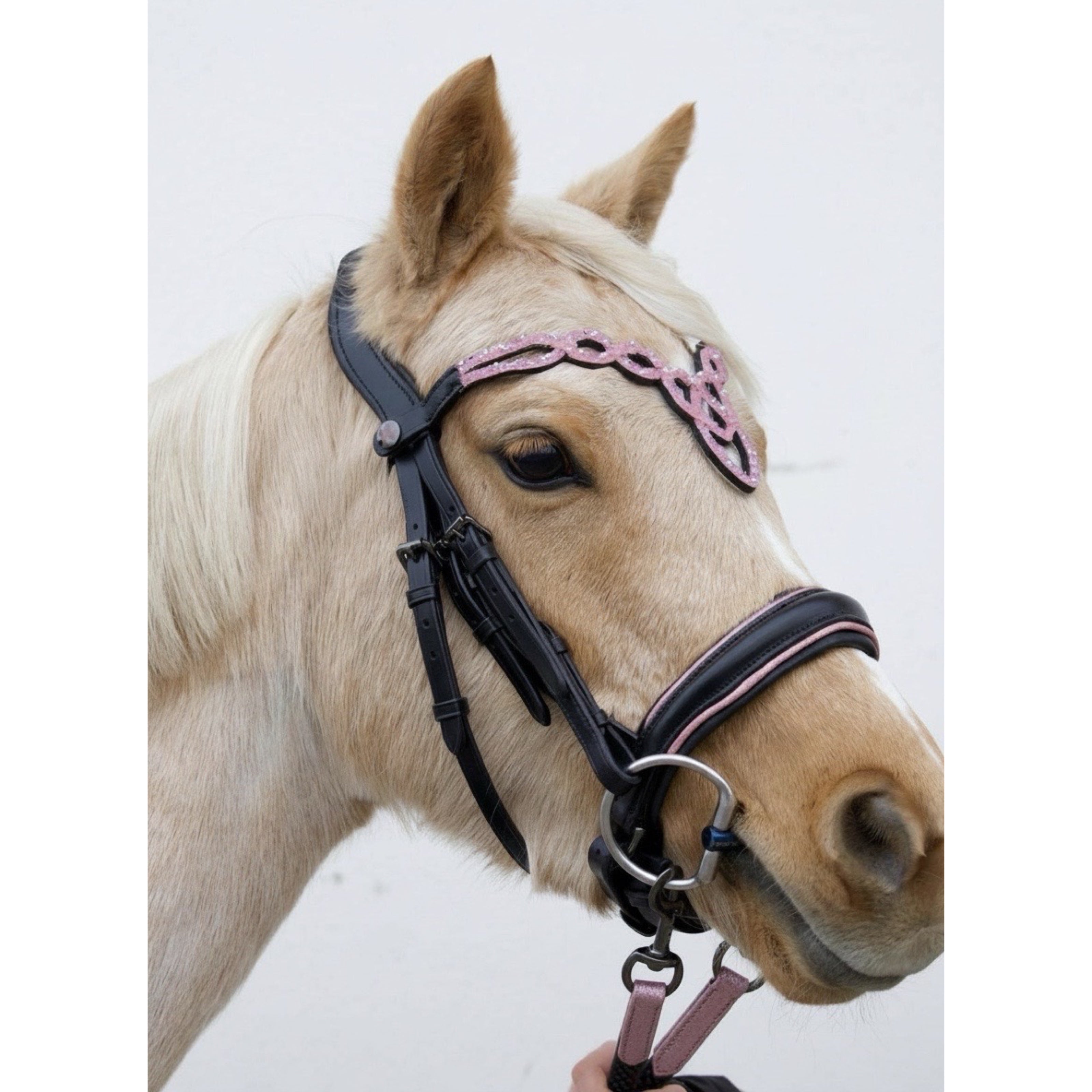 Zaumzeug Shiloh Light Pink – Schwarzes Leder | HIT PONY