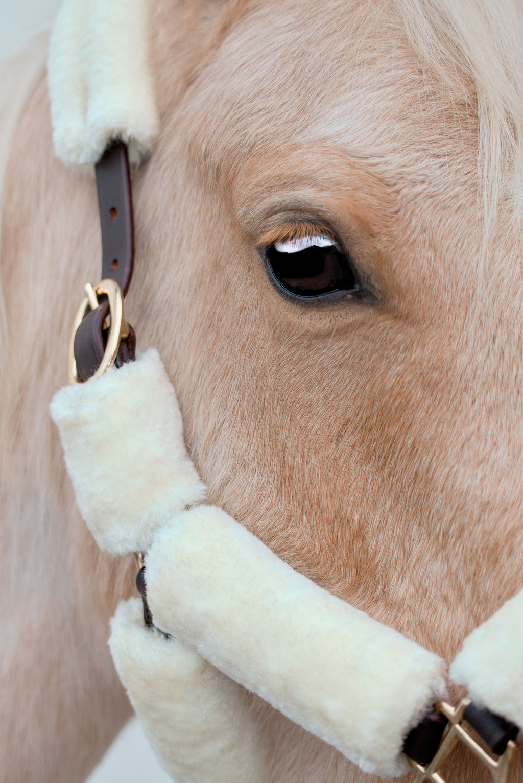 Halfter Arizona Elfenbein-Wolle – Braunes Leder & Wolle | HIT PONY