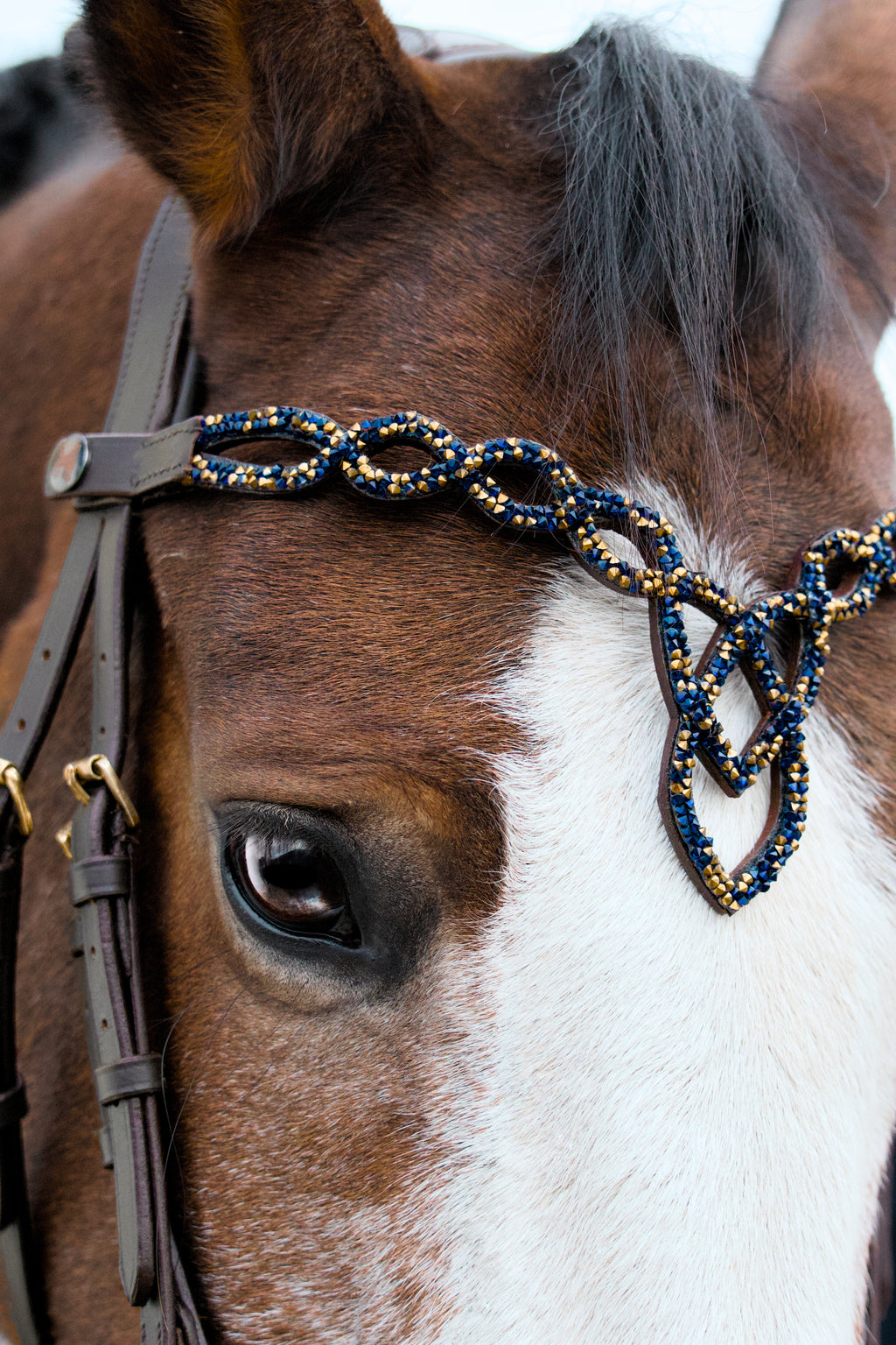 Frontal Shiloh Sapphire and Gold – Cuir Marron & Cristaux | HIT PONY