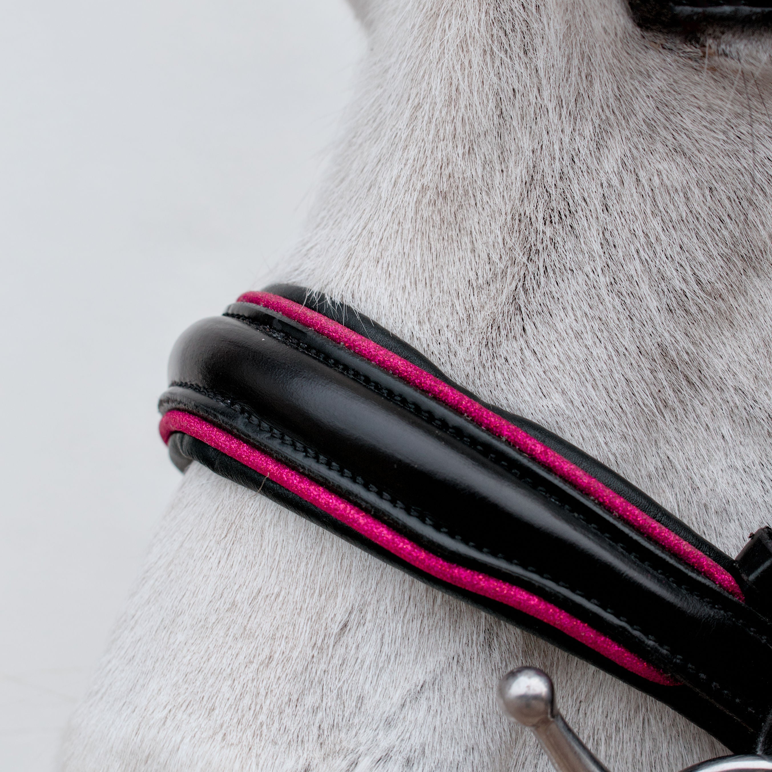 Trense Raven Hot Pink – Schwarzes Leder | HIT PONY