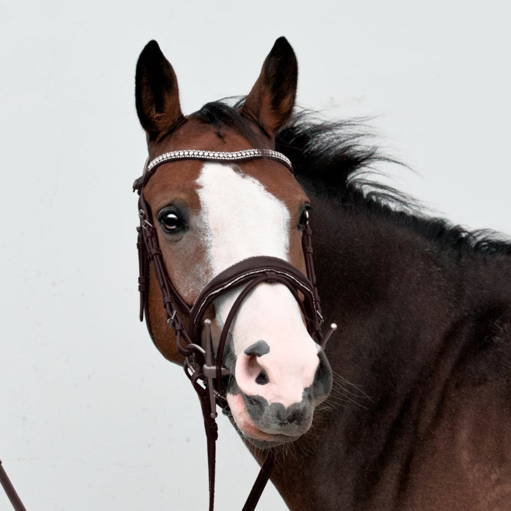 Bridon Dakota Argent Cuir Marron