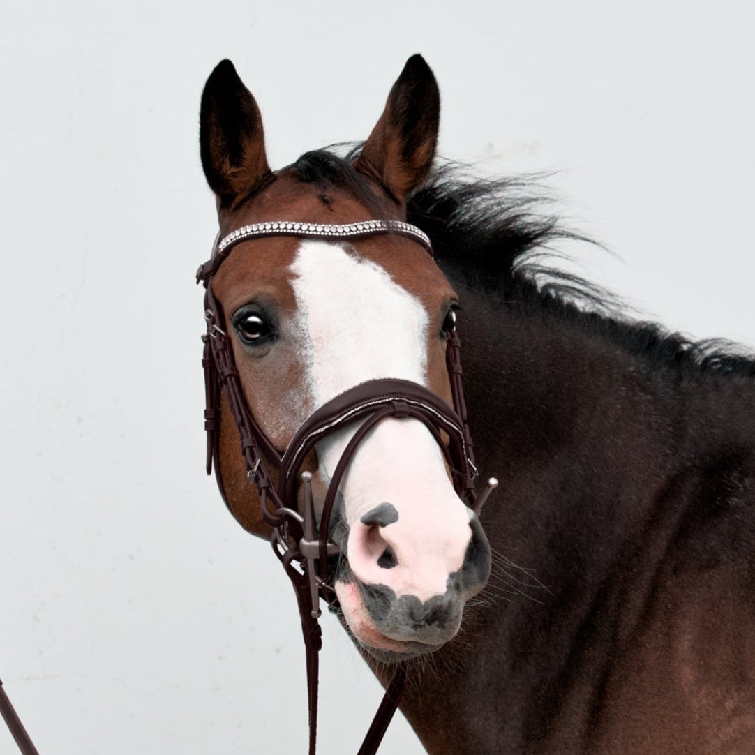 Bridon Dakota Argent Cuir Marron