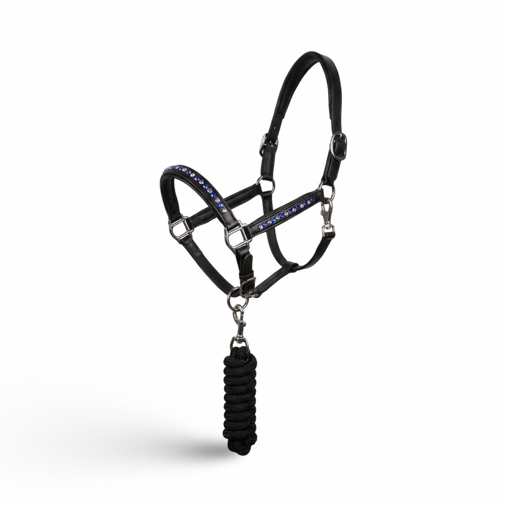 Licol Riverstone Cuir noir Pierres Bleu et Rose