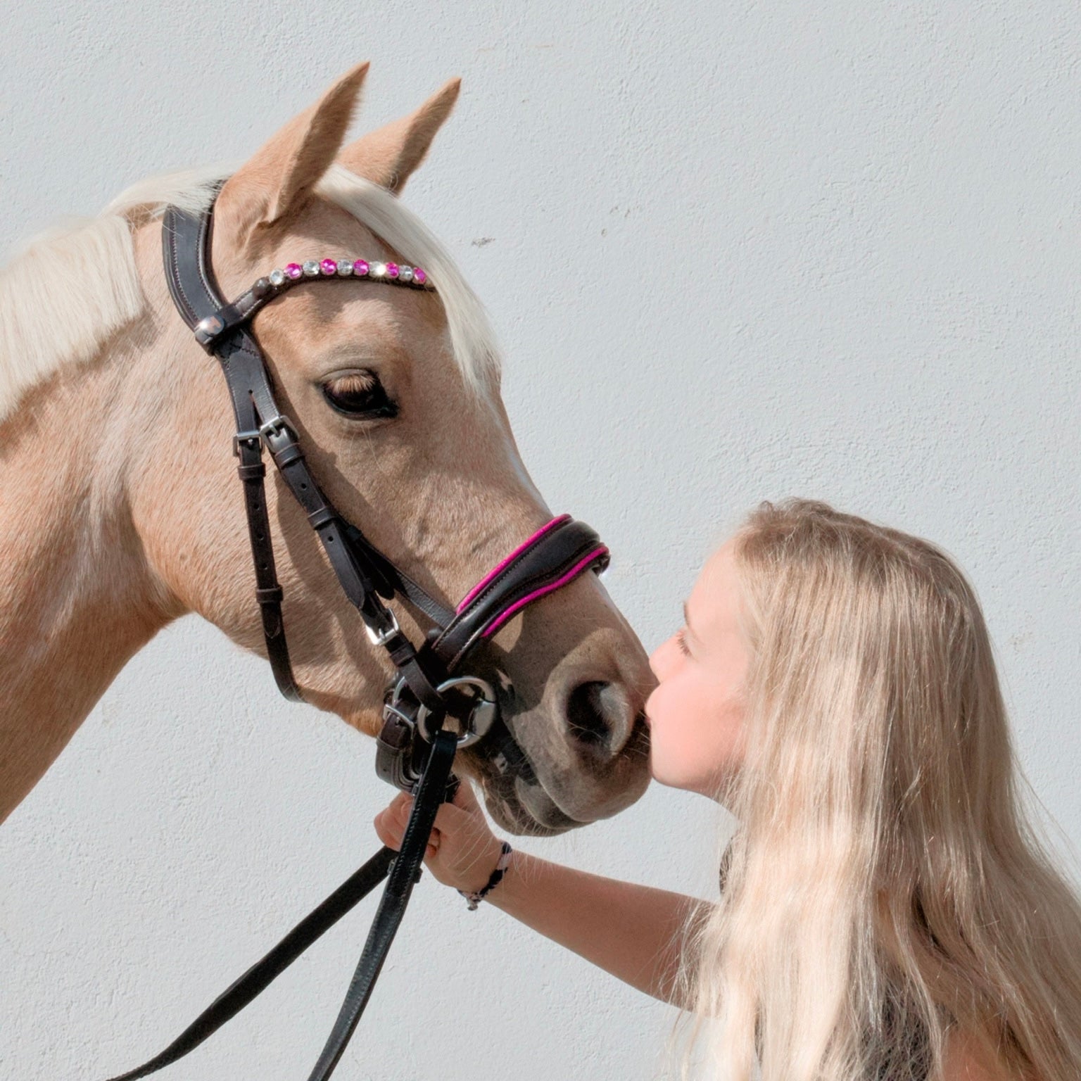 Carte-cadeaux Hit Pony