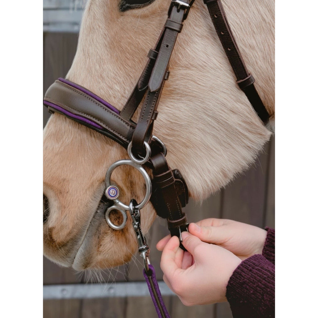 Trense Raven Violett – Braunes Leder | HIT PONY