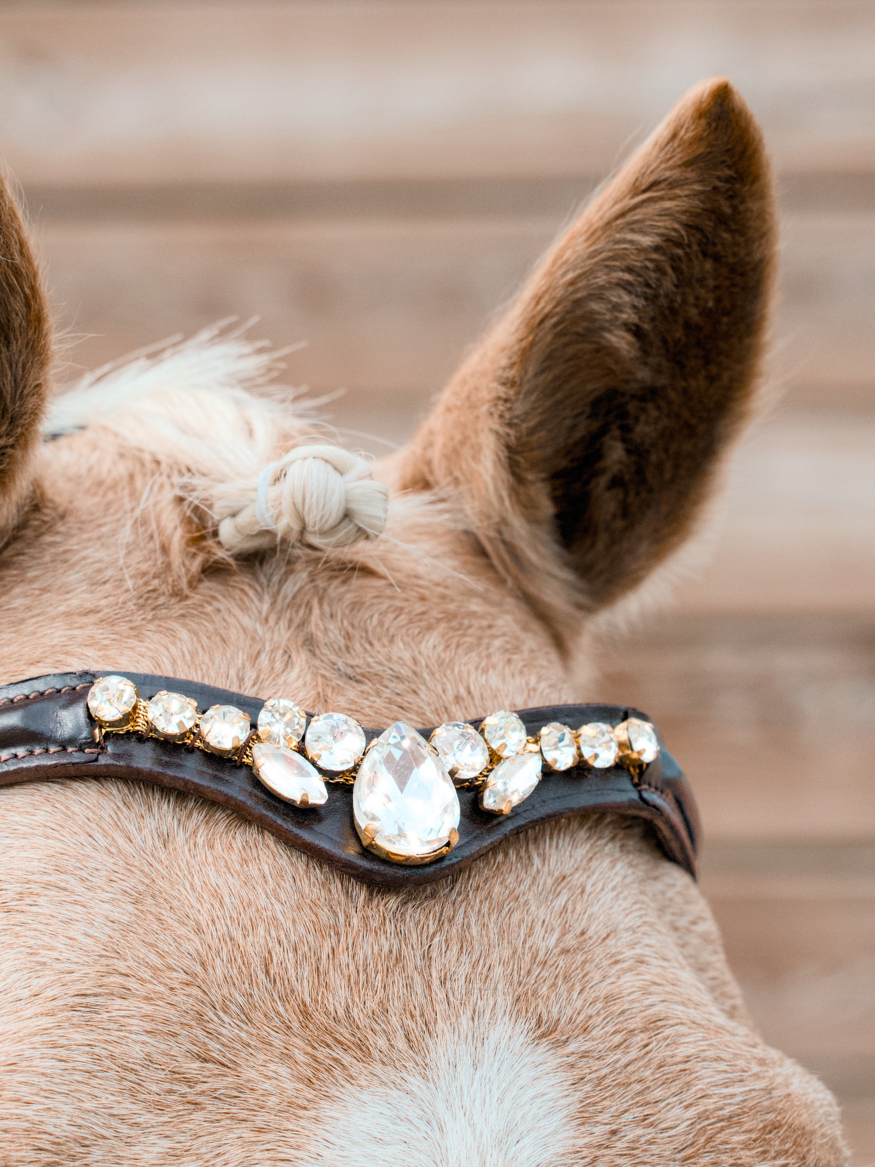 Frontal Sedona Stones