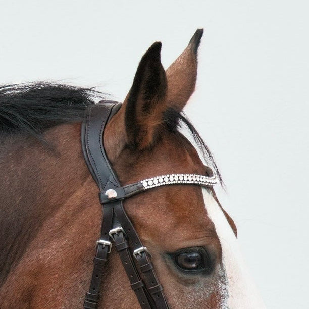 Frontal Dakota Silver