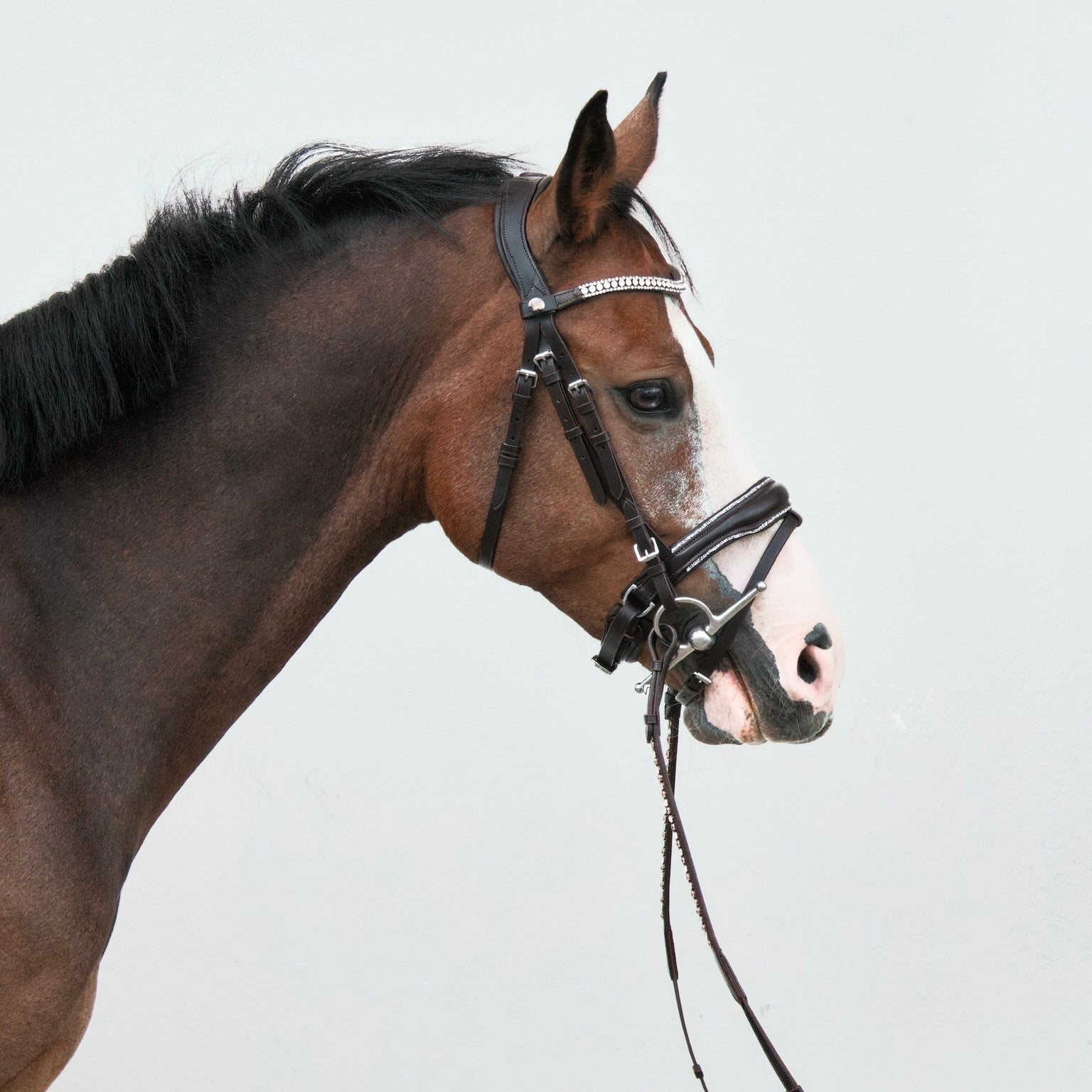 Bridon Silver Dakota Raven