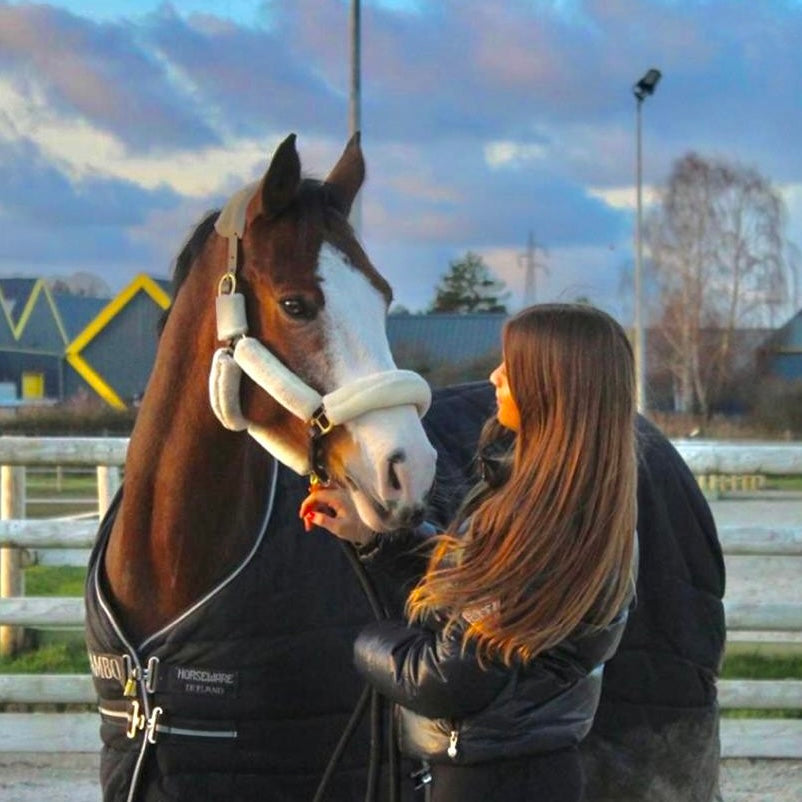 Licol Arizona Laine Ivoire + longe incluse