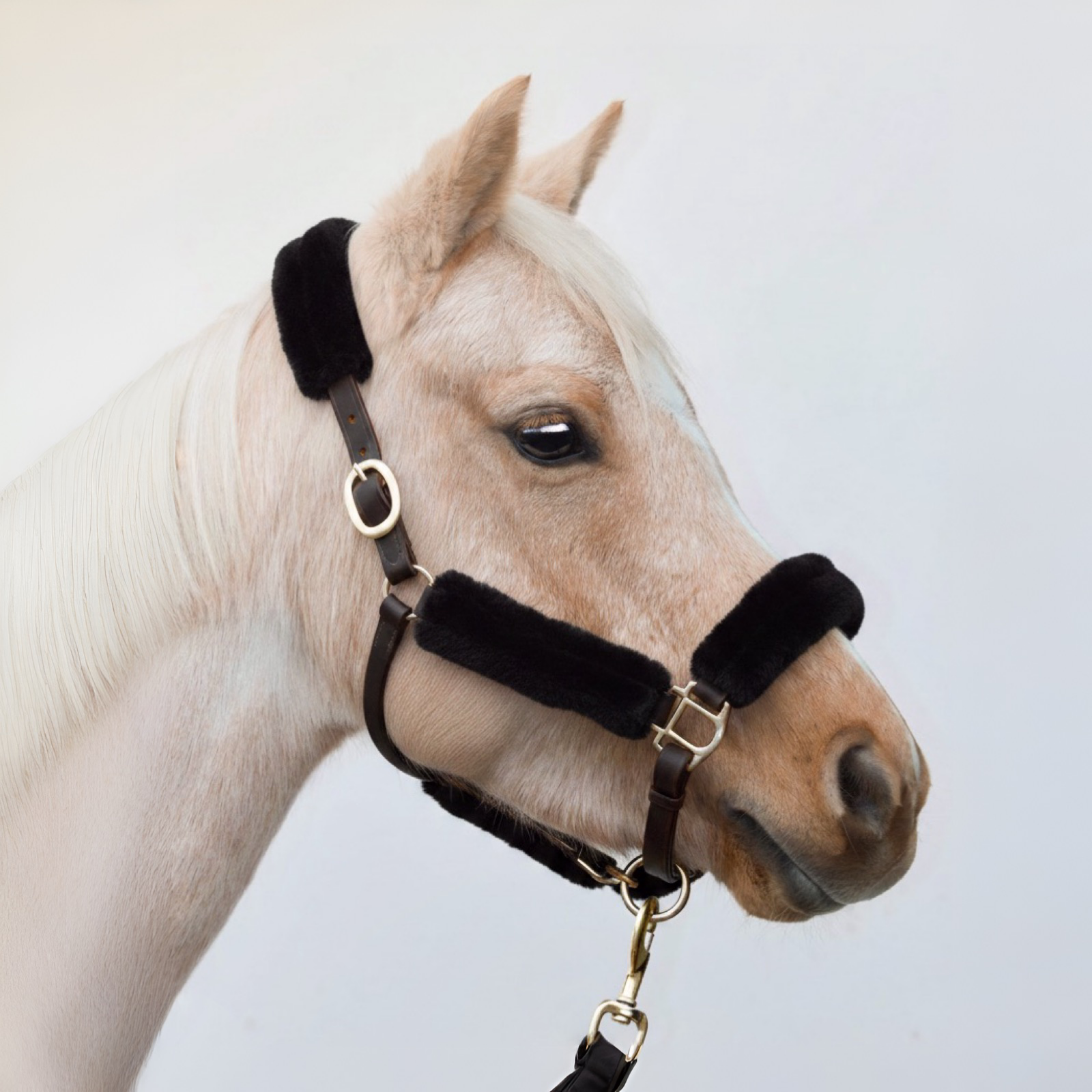 Licol Arizona Laine Noir – Cuir Marron & Laine Noire | HIT PONY