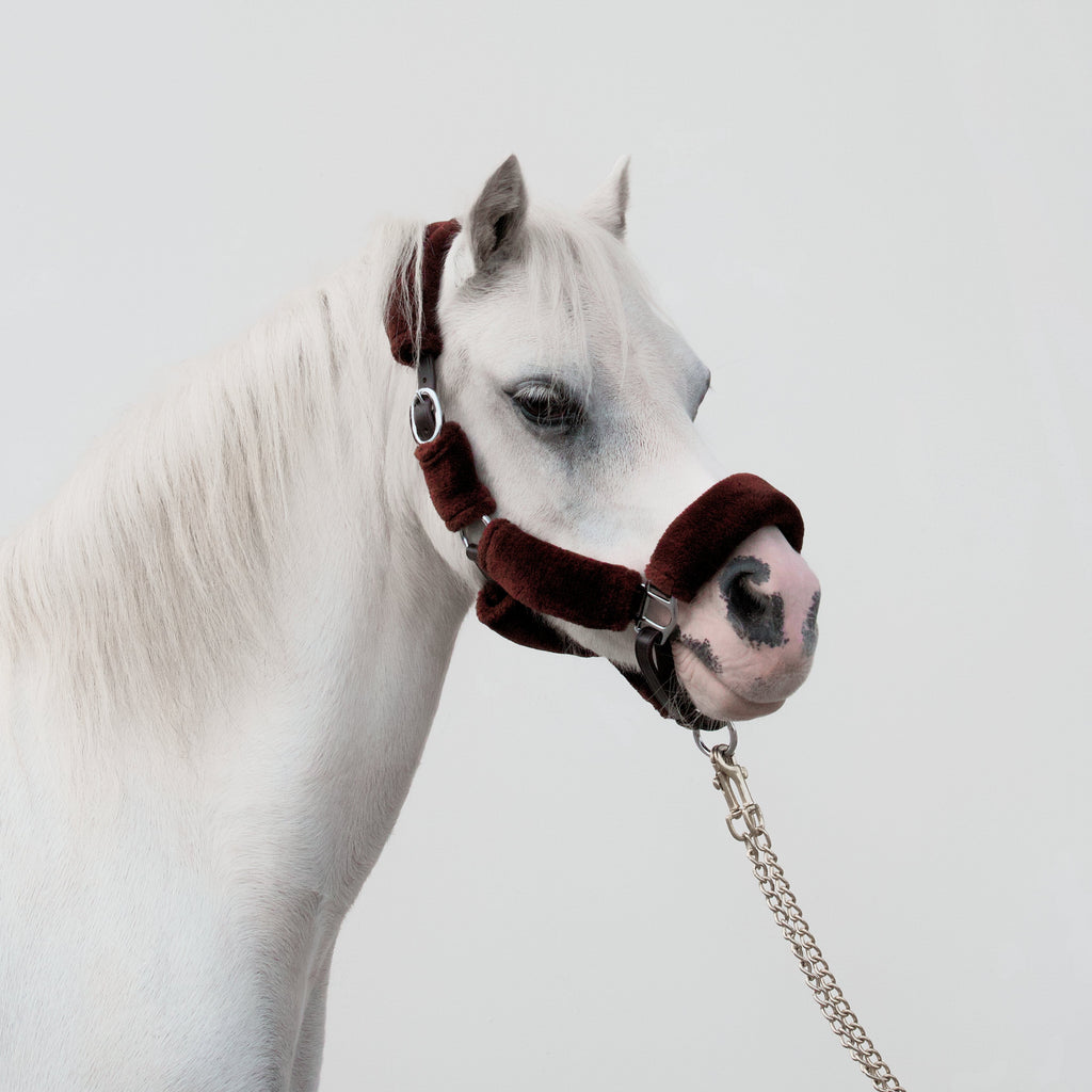 Arizona Brown Wool Headcollar – Brown Leather & Wool | HIT PONY